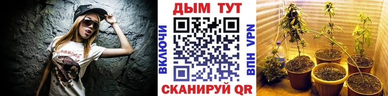 Где купить Кинешма Канабис  АМФЕТАМИН  Альфа ПВП  ГАШИШ  Cocaine 
