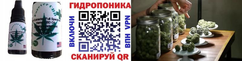 Cannafood марихуана  Кинешма 