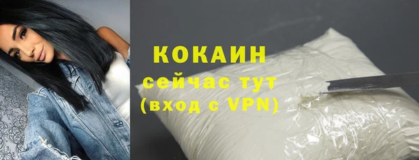 молекула духа Козельск