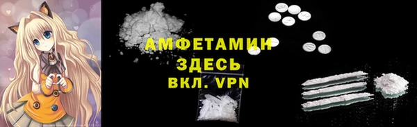 молекула духа Козельск