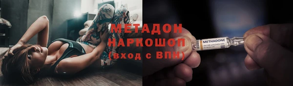индика Козловка