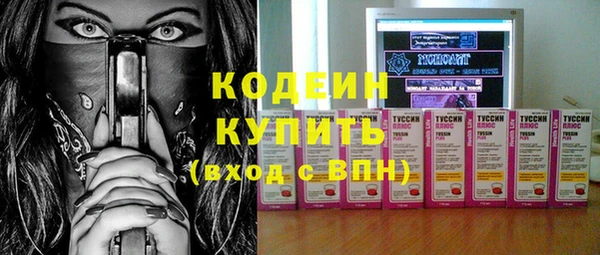 молекула духа Козельск