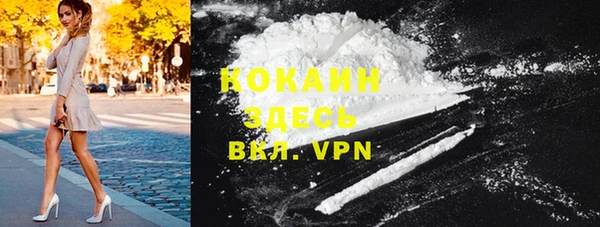 индика Козловка