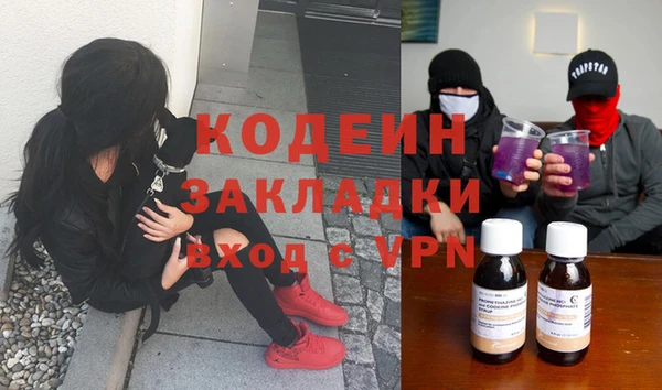 индика Козловка