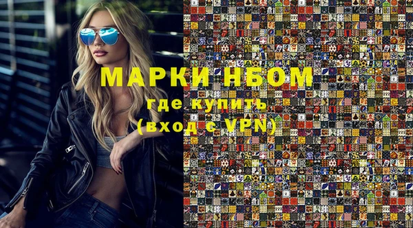 молекула духа Козельск