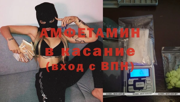 индика Козловка
