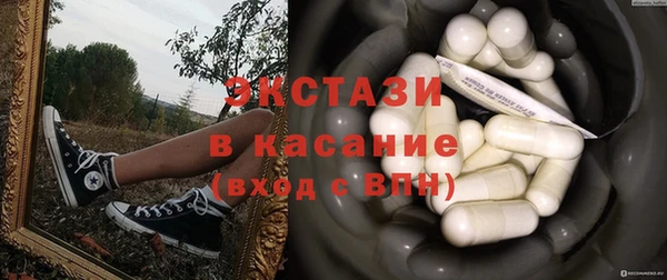 индика Козловка