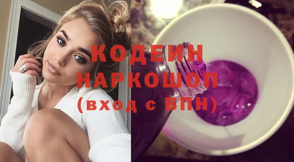 индика Козловка